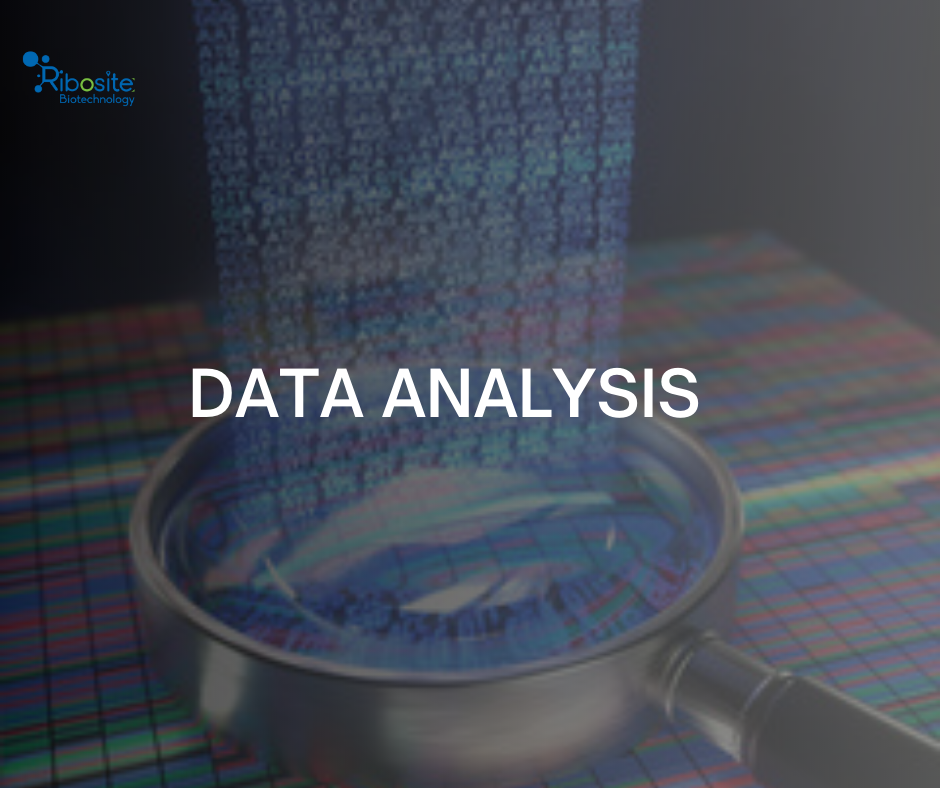 Bioinformatic Analysis